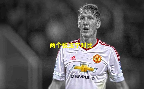 两个张玉宁对比