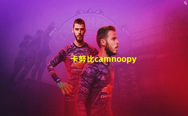 卡努比camnoopy