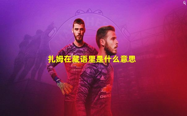 扎姆在藏语里是什么意思