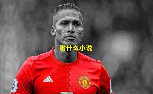 谢什么小说