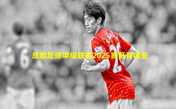 成都足球甲级联赛2025赛区有哪些