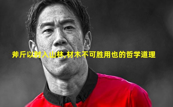 斧斤以时入山林,材木不可胜用也的哲学道理