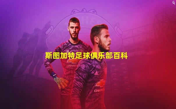 斯图加特足球俱乐部百科